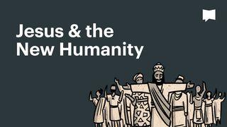 BibleProject | Jesus & The New Humanity