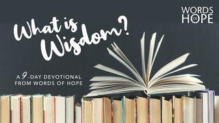 What Is Wisdom?